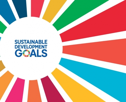 global goals 495x400 1